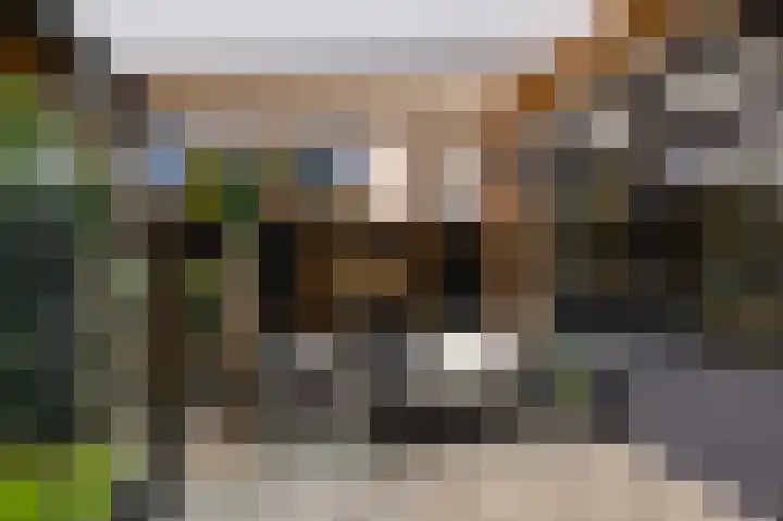 Schapenweijdt 3 Heiloo thumbnail 10