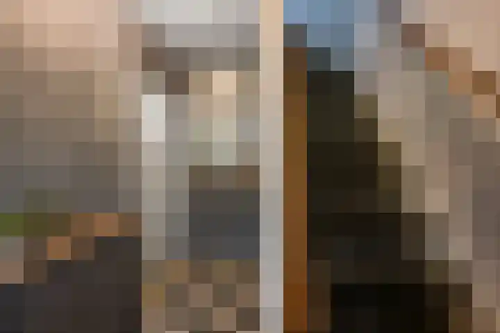 Schapenweijdt 3 Heiloo thumbnail 11