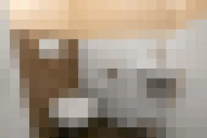 Schapenweijdt 3 Heiloo thumbnail 12