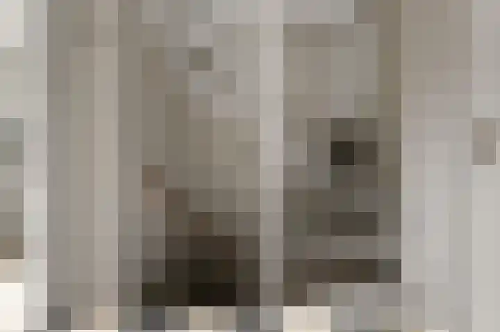 Schapenweijdt 3 Heiloo thumbnail 13