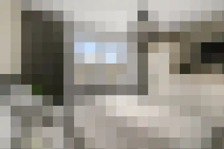 Schapenweijdt 3 Heiloo thumbnail 14