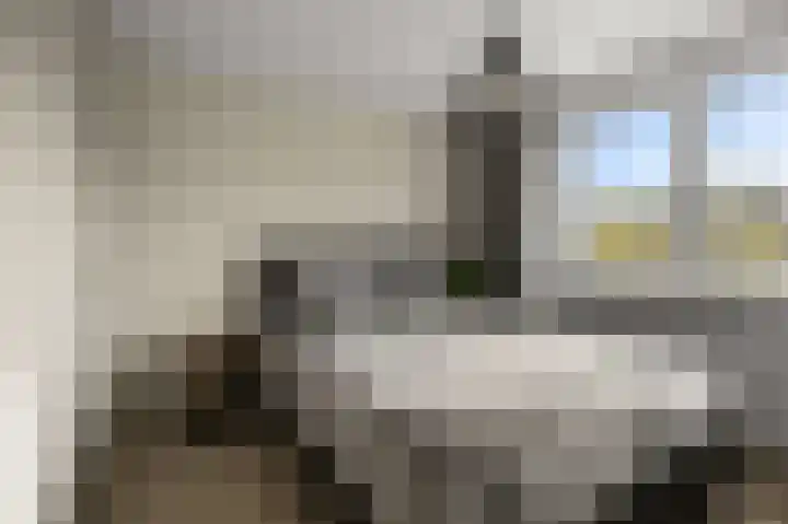 Schapenweijdt 3 Heiloo thumbnail 15