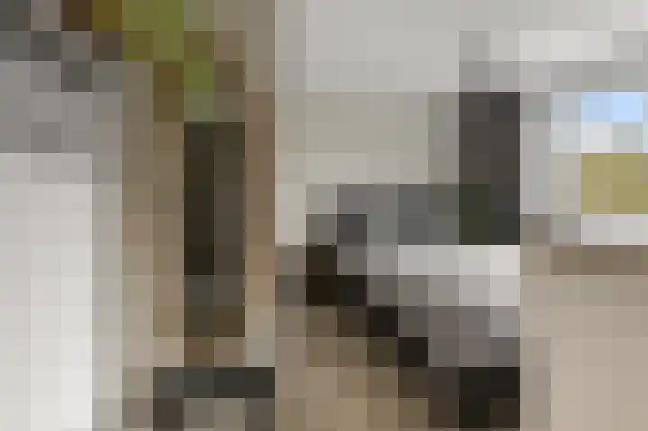Schapenweijdt 3 Heiloo thumbnail 16