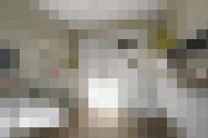 Schapenweijdt 3 Heiloo thumbnail 17