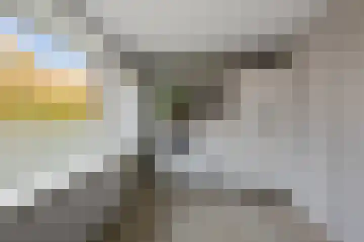 Schapenweijdt 3 Heiloo thumbnail 20