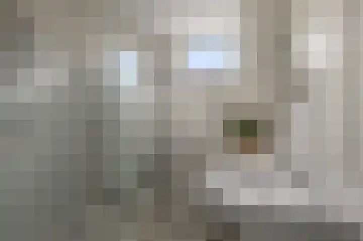 Schapenweijdt 3 Heiloo thumbnail 21