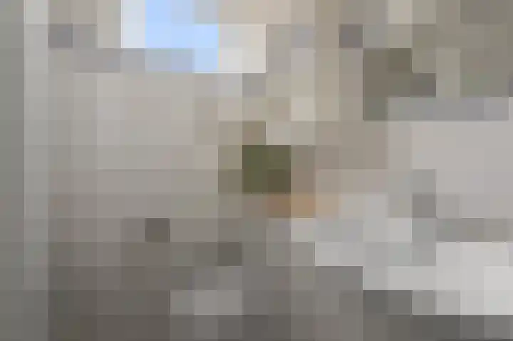 Schapenweijdt 3 Heiloo thumbnail 22