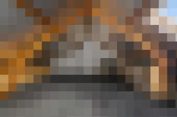 Schapenweijdt 3 Heiloo thumbnail 23