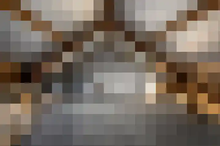 Schapenweijdt 3 Heiloo thumbnail 24