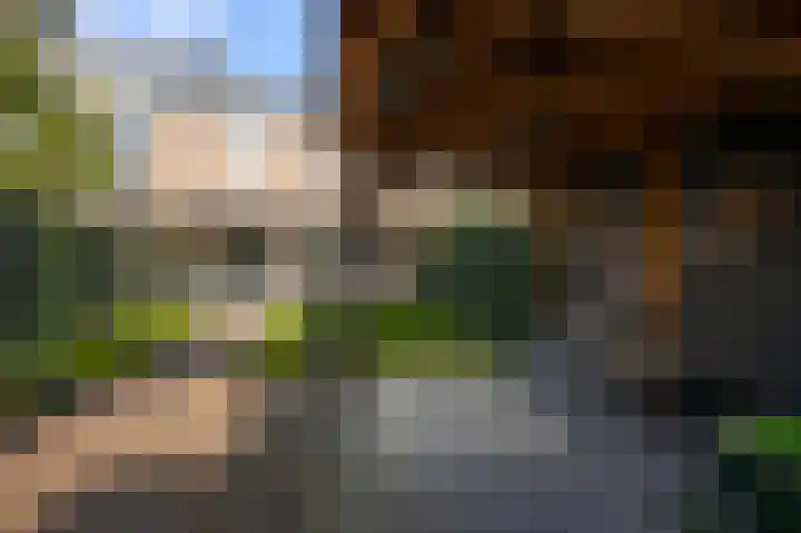 Schapenweijdt 3 Heiloo thumbnail 25