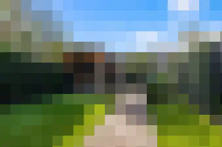 Schapenweijdt 3 Heiloo thumbnail 27