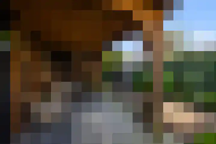 Schapenweijdt 3 Heiloo thumbnail 29