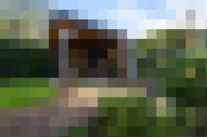 Schapenweijdt 3 Heiloo thumbnail 30