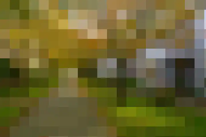 Schapenweijdt 3 Heiloo thumbnail 32