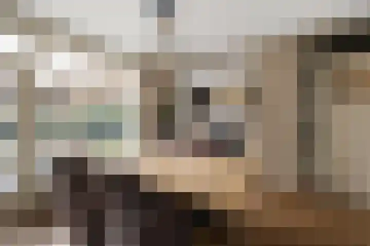 Schapenweijdt 3 Heiloo thumbnail 5