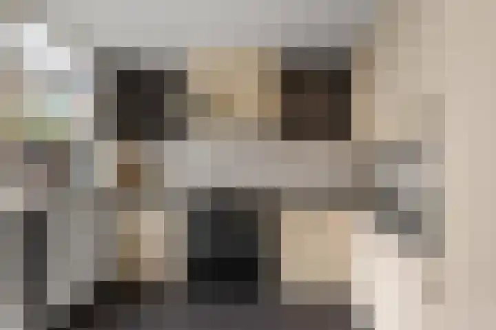 Schapenweijdt 3 Heiloo thumbnail 6