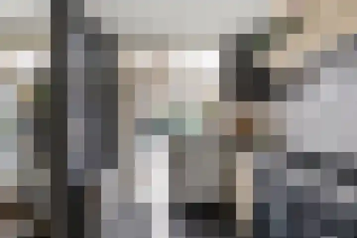 Schapenweijdt 3 Heiloo thumbnail 8