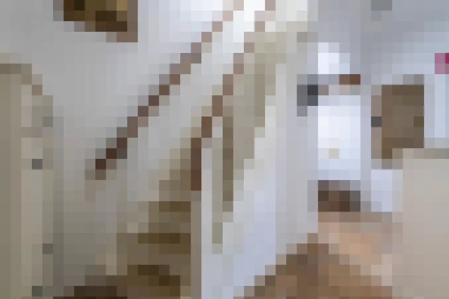 Schaperlaan 17 Zeist thumbnail 11