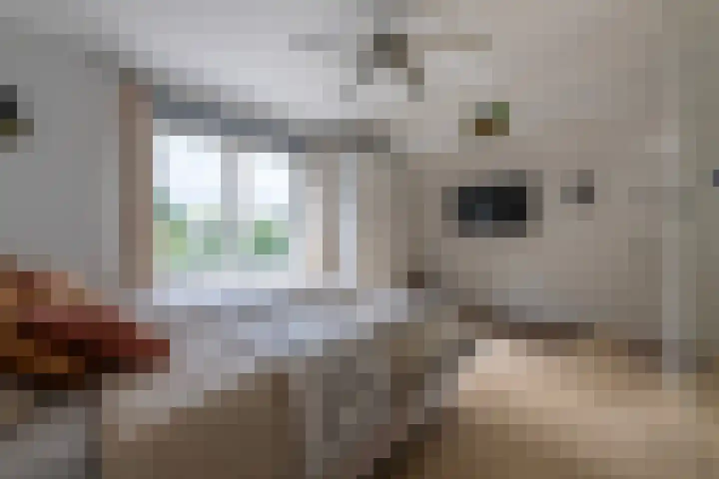 Schaperlaan 17 Zeist thumbnail 14