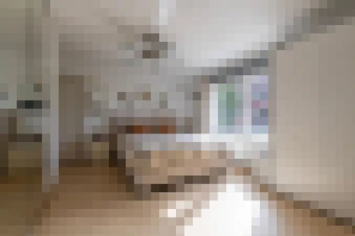 Schaperlaan 17 Zeist thumbnail 15
