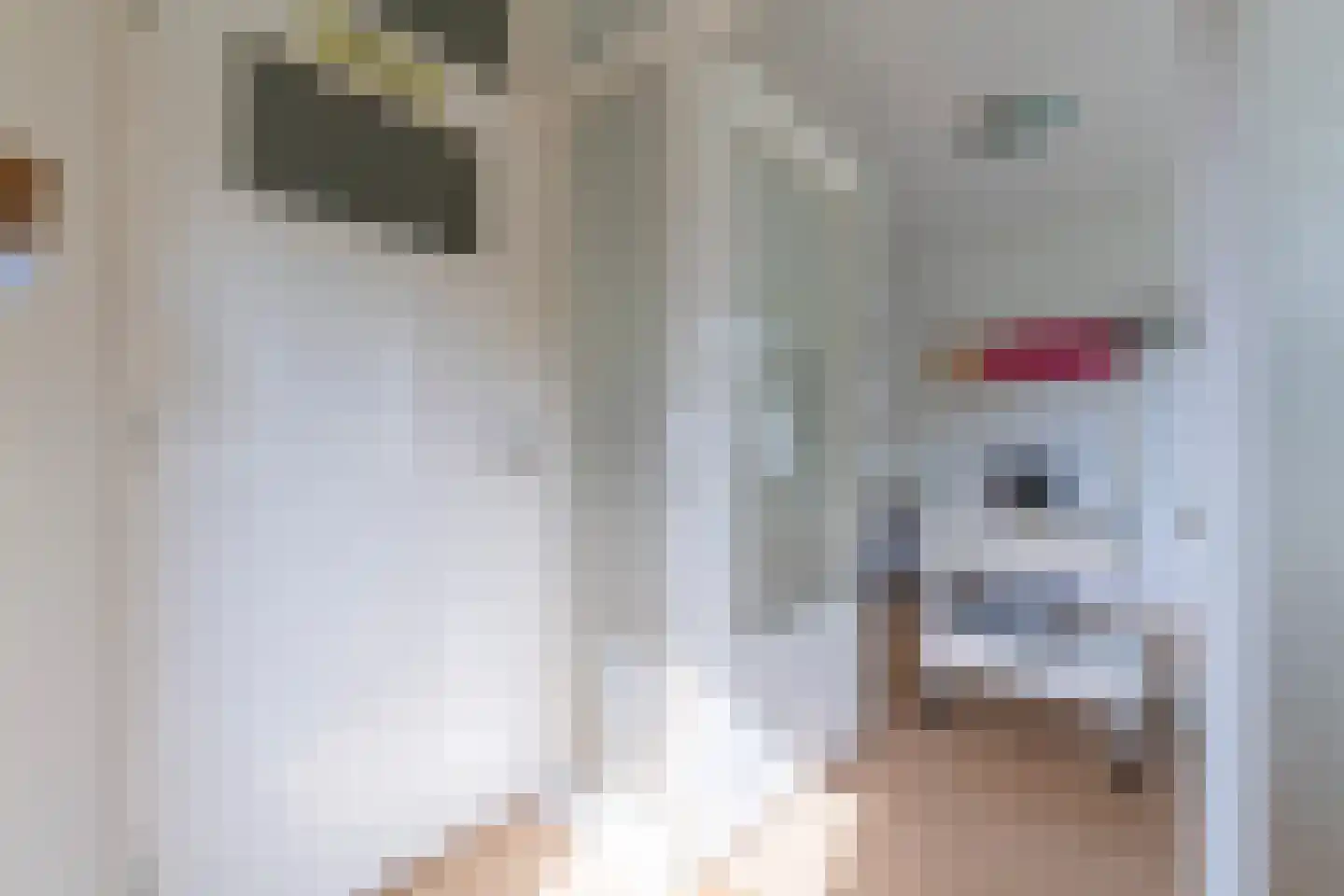 Schaperlaan 17 Zeist thumbnail 24