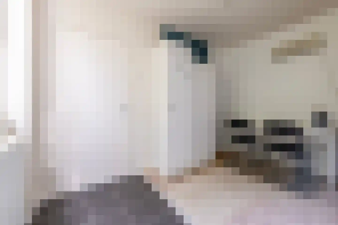 Schaperlaan 17 Zeist thumbnail 29