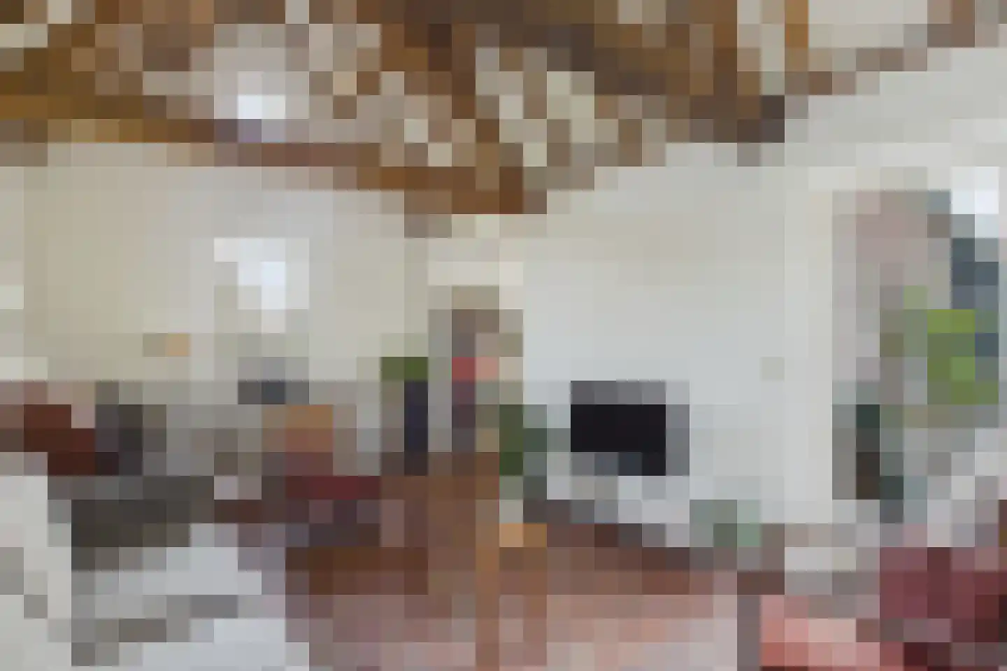 Schapershoekpad 2 Vogelwaarde thumbnail 11
