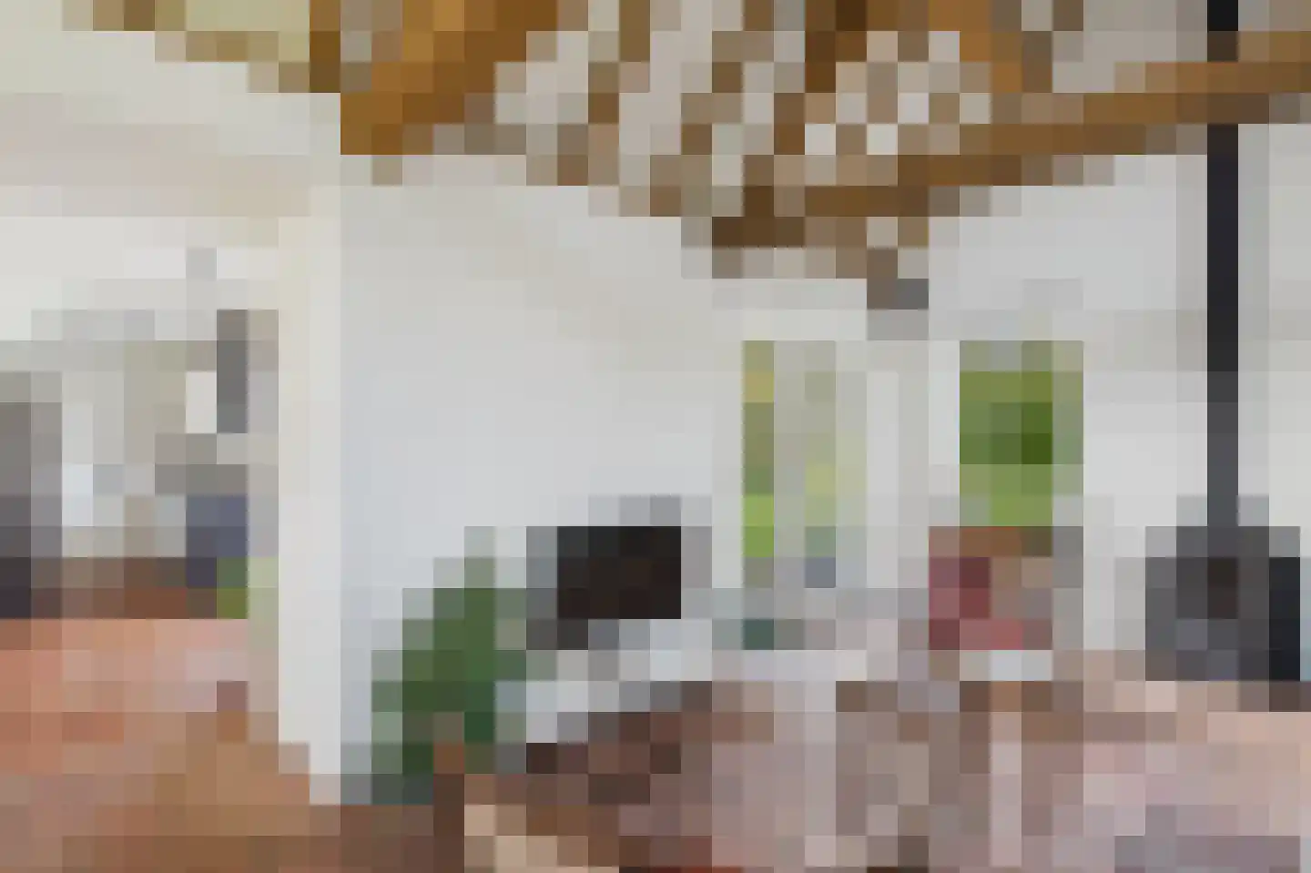 Schapershoekpad 2 Vogelwaarde thumbnail 12