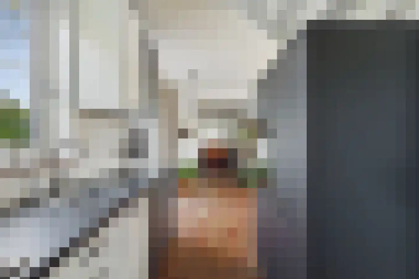 Schapershoekpad 2 Vogelwaarde thumbnail 13