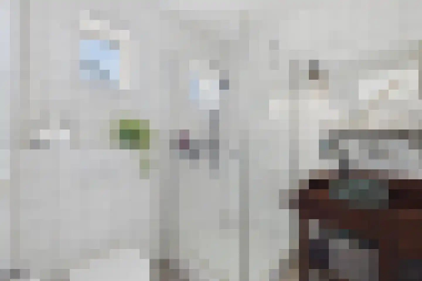 Schapershoekpad 2 Vogelwaarde thumbnail 20