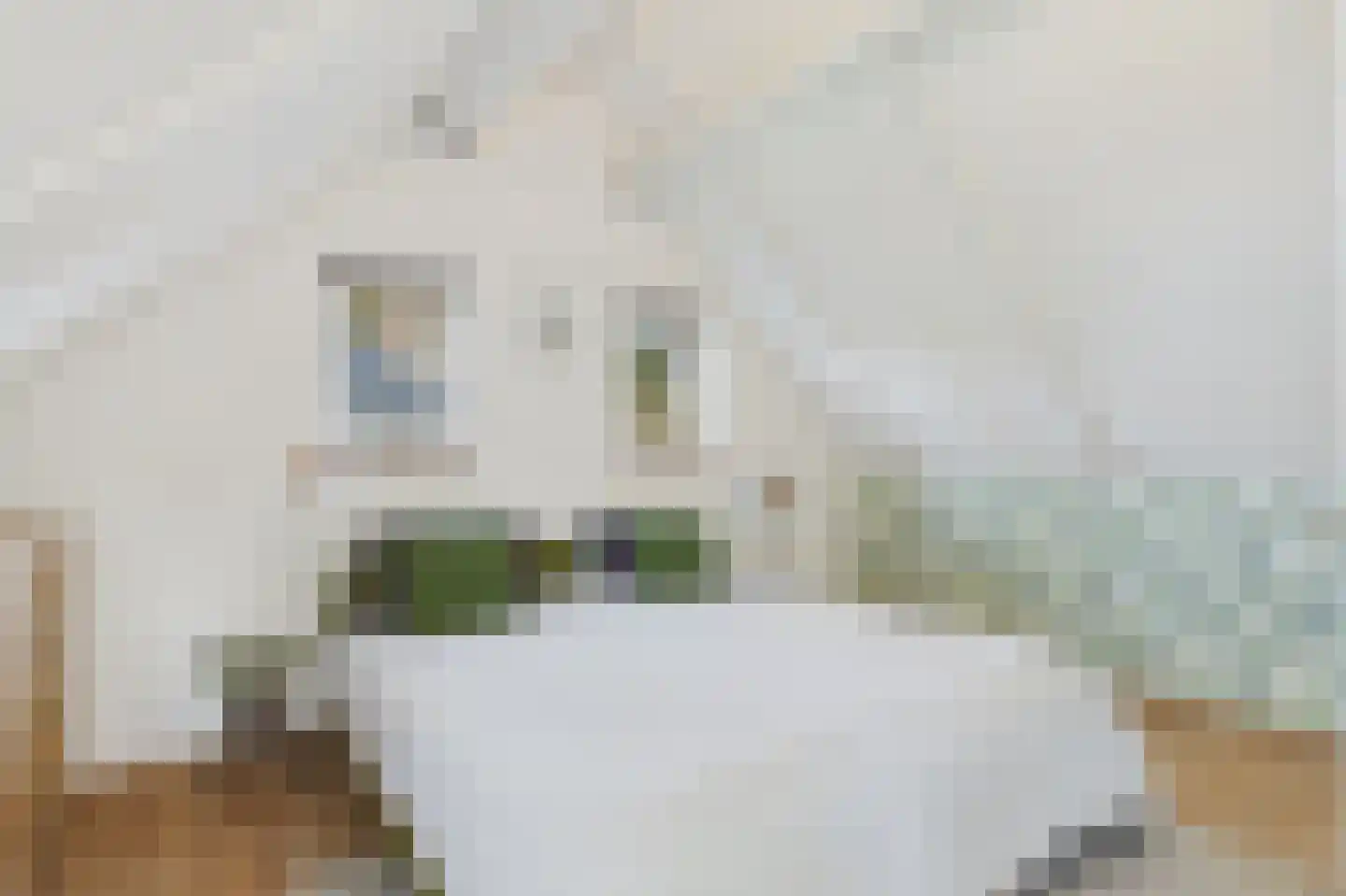 Schapershoekpad 2 Vogelwaarde thumbnail 22