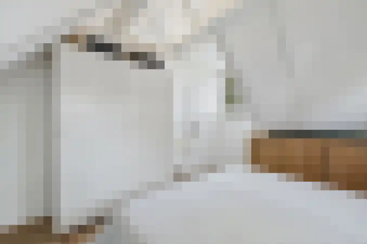 Schapershoekpad 2 Vogelwaarde thumbnail 24