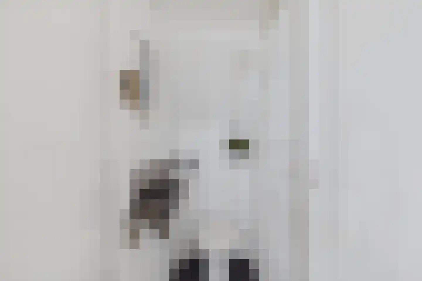 Schapershoekpad 2 Vogelwaarde thumbnail 25