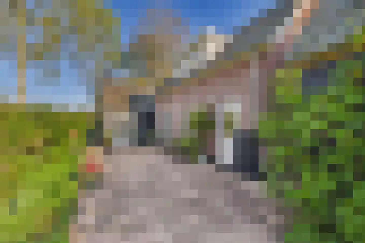 Schapershoekpad 2 Vogelwaarde thumbnail 30