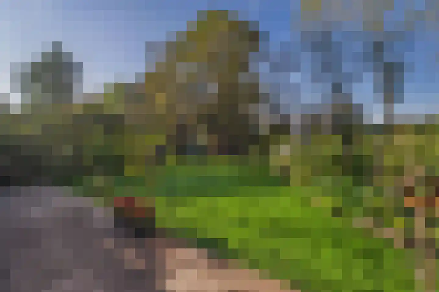 Schapershoekpad 2 Vogelwaarde thumbnail 31