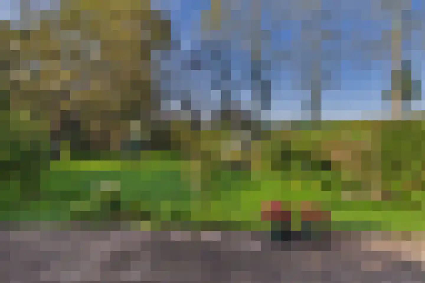 Schapershoekpad 2 Vogelwaarde thumbnail 32