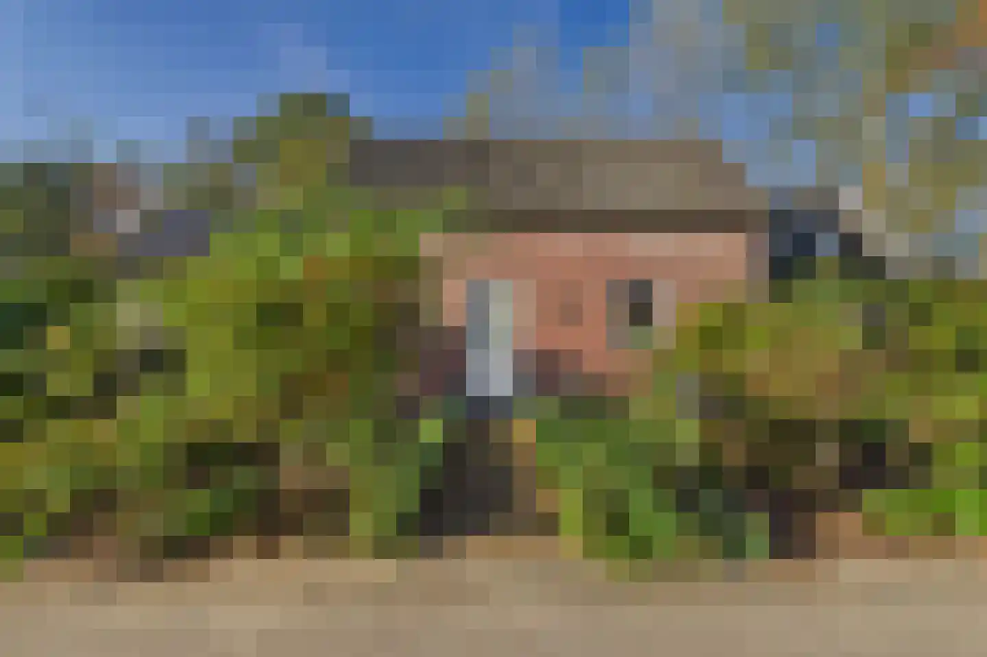 Schapershoekpad 2 Vogelwaarde thumbnail 5