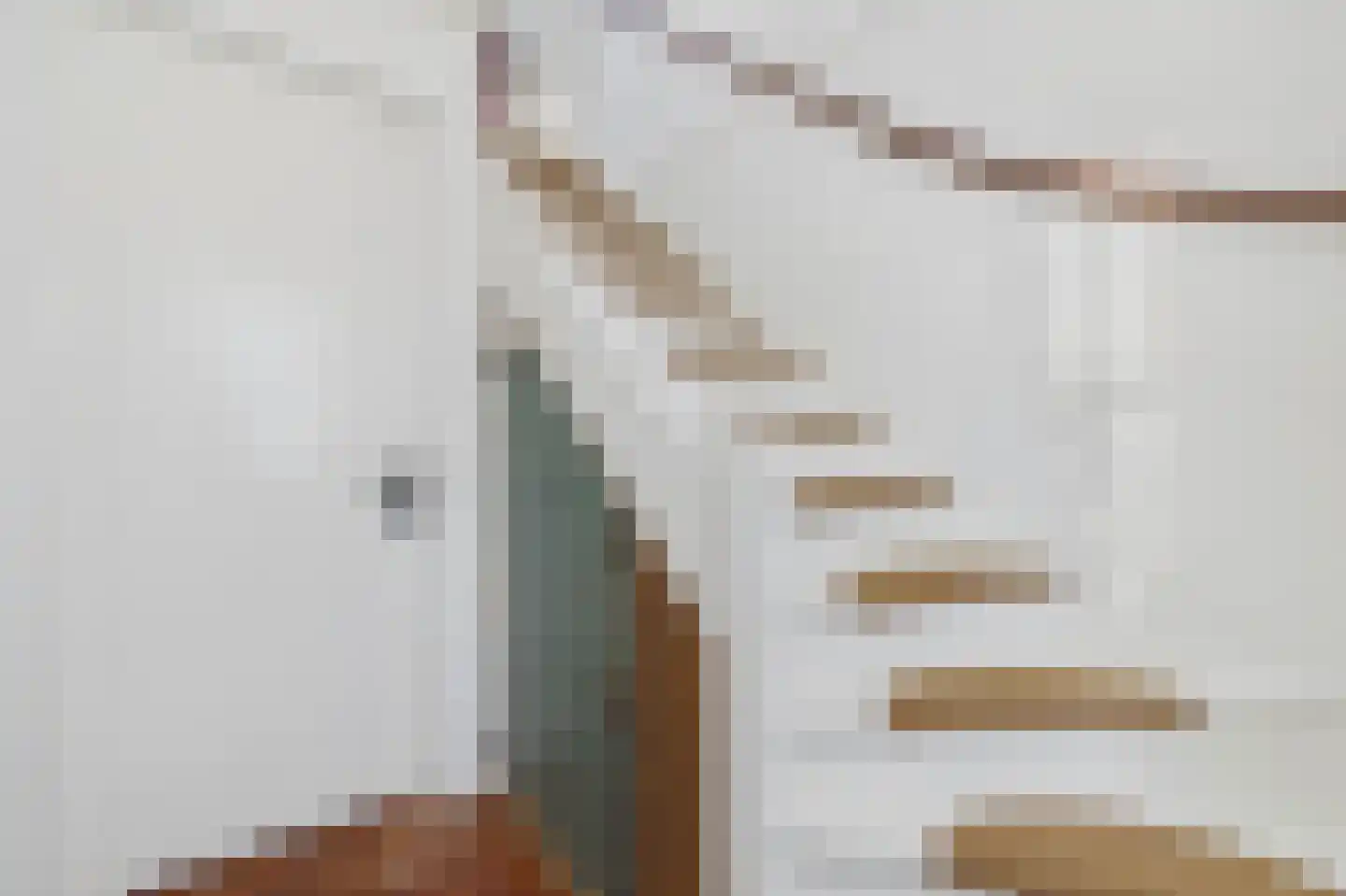 Schapershoekpad 2 Vogelwaarde thumbnail 7