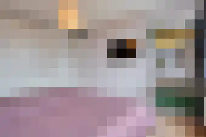 Schaperstraat 12 Meppel thumbnail 16