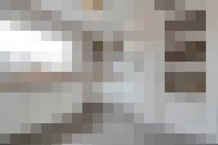 Schaperstraat 12 Meppel thumbnail 8