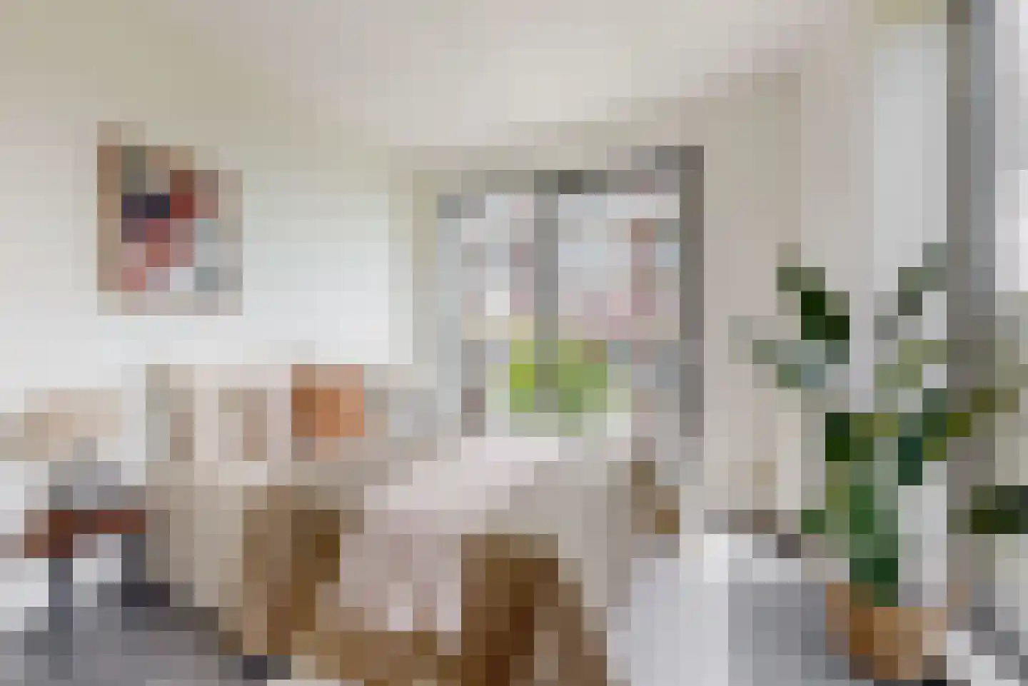 Schaperstraat 17 Utrecht thumbnail 15