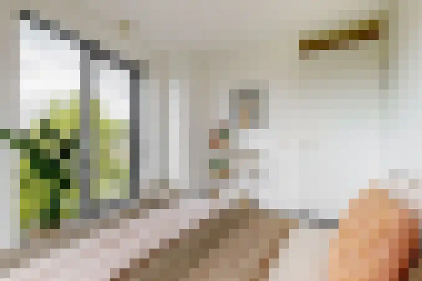 Schaperstraat 17 Utrecht thumbnail 16