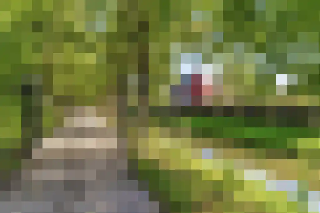 Schaperstraat 17 Utrecht thumbnail 25