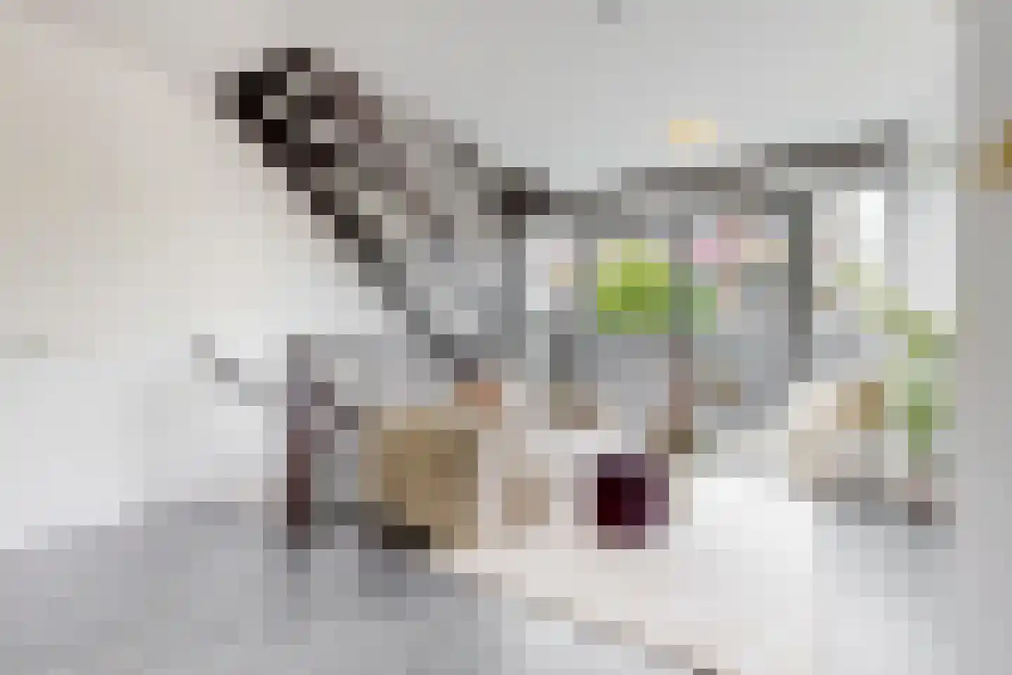 Schaperstraat 17 Utrecht thumbnail 7