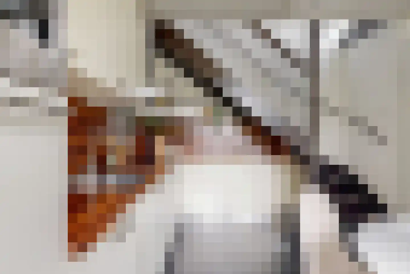 Schaperstraat 17 Utrecht thumbnail 8