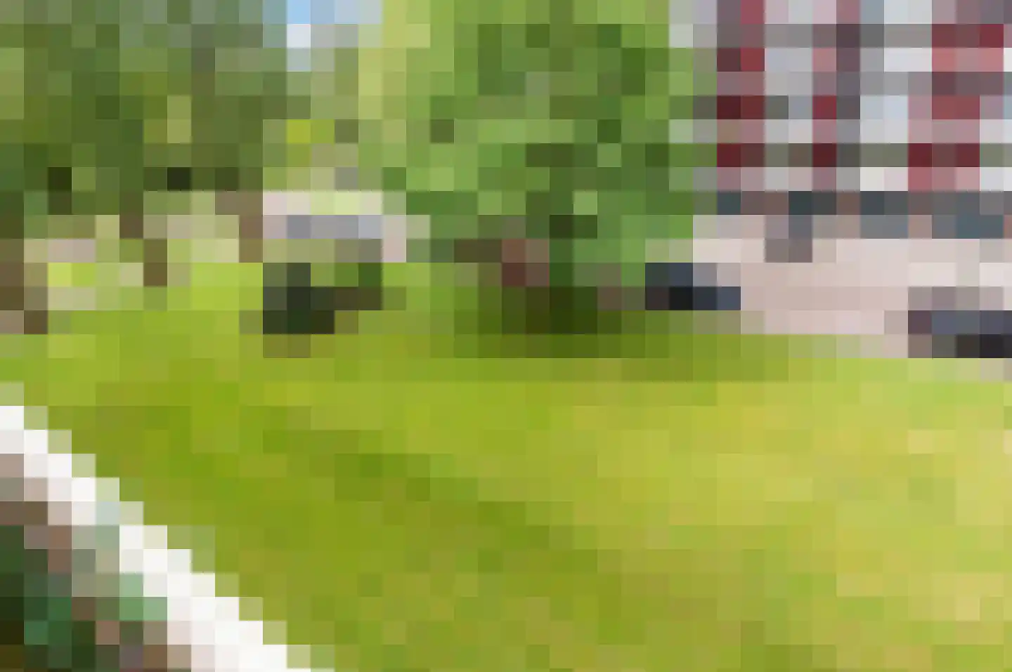 Schaperstraat 42 Apeldoorn thumbnail 18