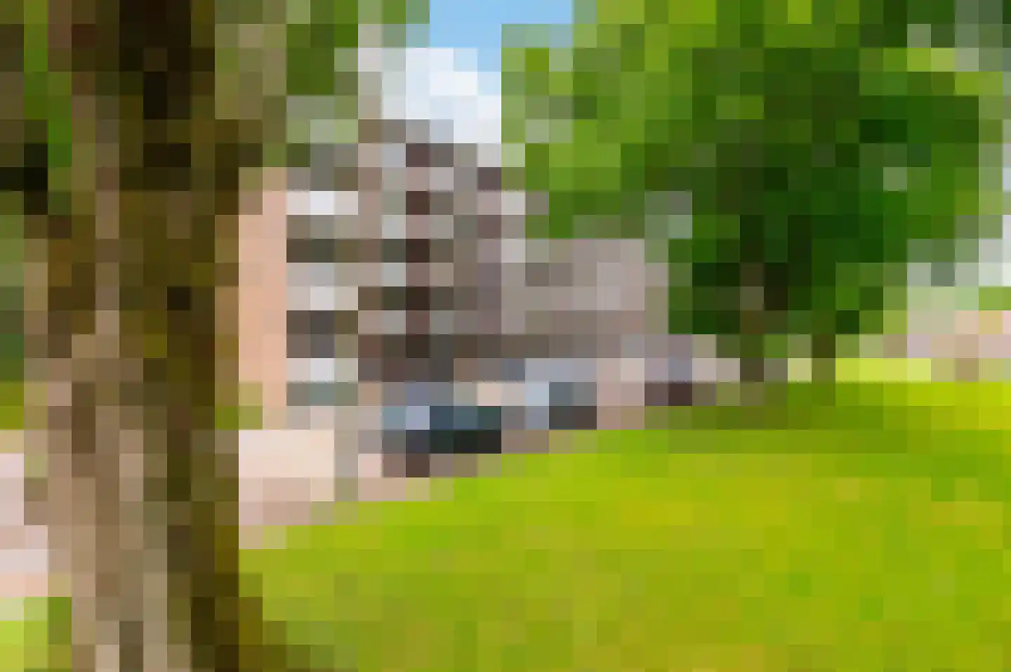 Schaperstraat 42 Apeldoorn thumbnail 23