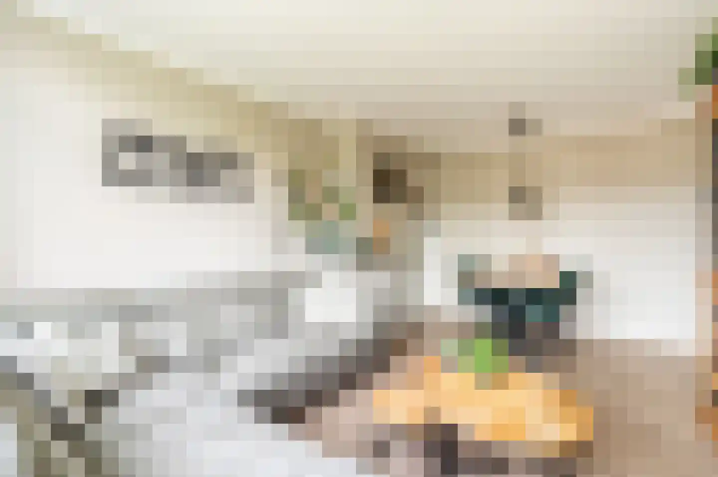 Schaperstraat 42 Apeldoorn thumbnail 9
