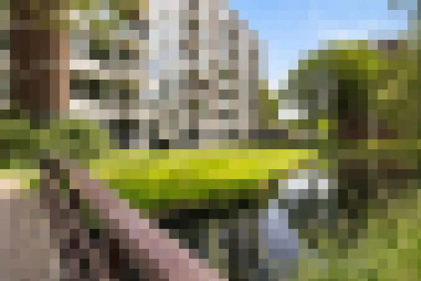 Schaperstraat 50 Dordrecht thumbnail 32