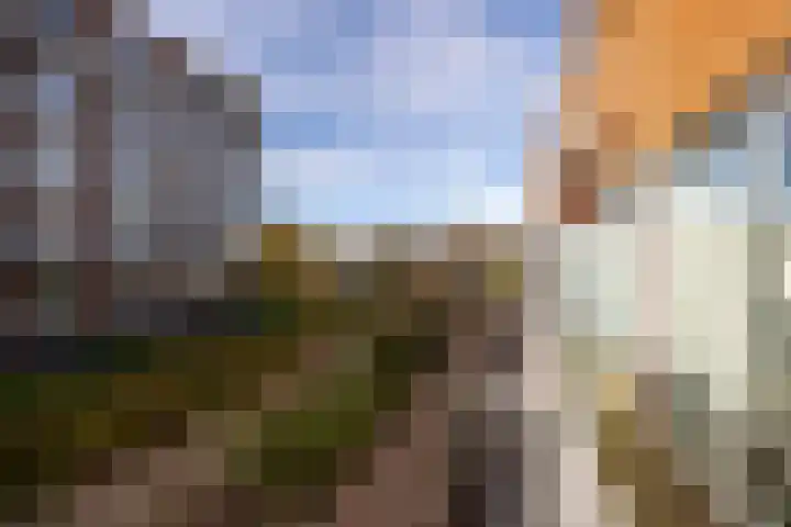 Schaperstraat 9 Utrecht thumbnail 12